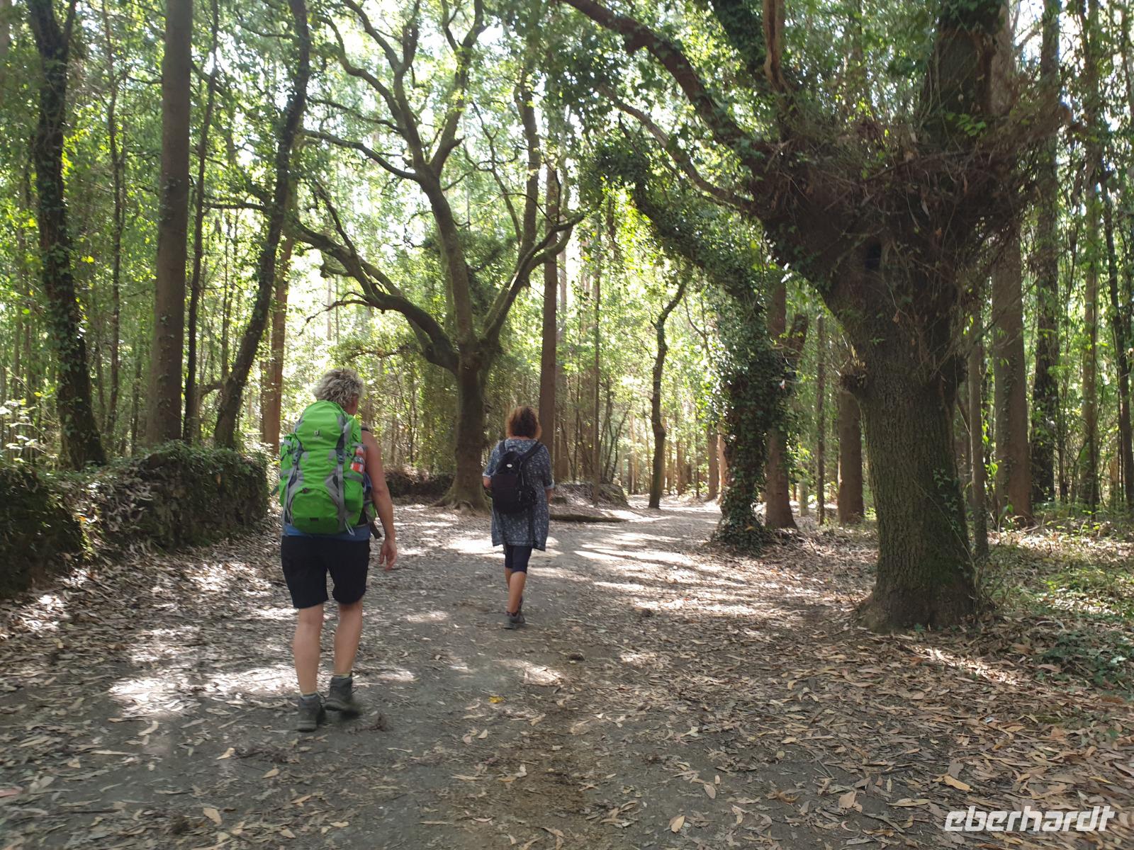 Wanderung auf dem Jakobsweg (30)