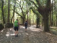 Wanderung auf dem Jakobsweg (30)