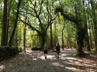 Wanderung auf dem Jakobsweg (31)