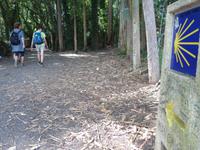 Wanderung auf dem Jakobsweg (32)