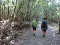 Wanderung auf dem Jakobsweg (33)