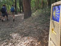 Wanderung auf dem Jakobsweg (34)