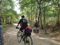 Wanderung auf dem Jakobsweg (35)