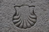 Wanderung auf dem Jakobsweg nach Santiago de Compostela (36)