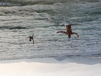 Poio in Galizien (3)