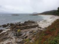  Ausflug mit Wanderung auf der Insel Ons im Nationalpark Illas Atlanticas (6)
