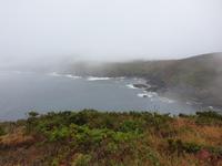  Ausflug mit Wanderung auf der Insel Ons im Nationalpark Illas Atlanticas (9)