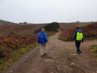  Ausflug mit Wanderung auf der Insel Ons im Nationalpark Illas Atlanticas (10)