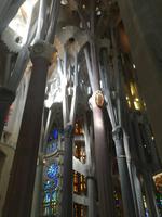 Säulen in biologischer Struktur