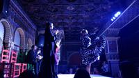 Flamenco Show