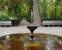 Herbst in Aranjuez