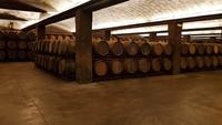 Im Keller von Freixenet