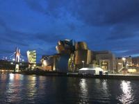 Guggenheim Museum Bilbao