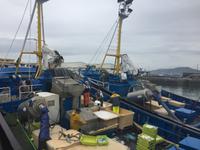 Fischerort Getaria, an der Biskaya