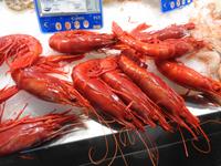 Silvesterreise Sevilla - Cádiz, Fischmarkt