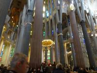 Ein Wald aus Säulen