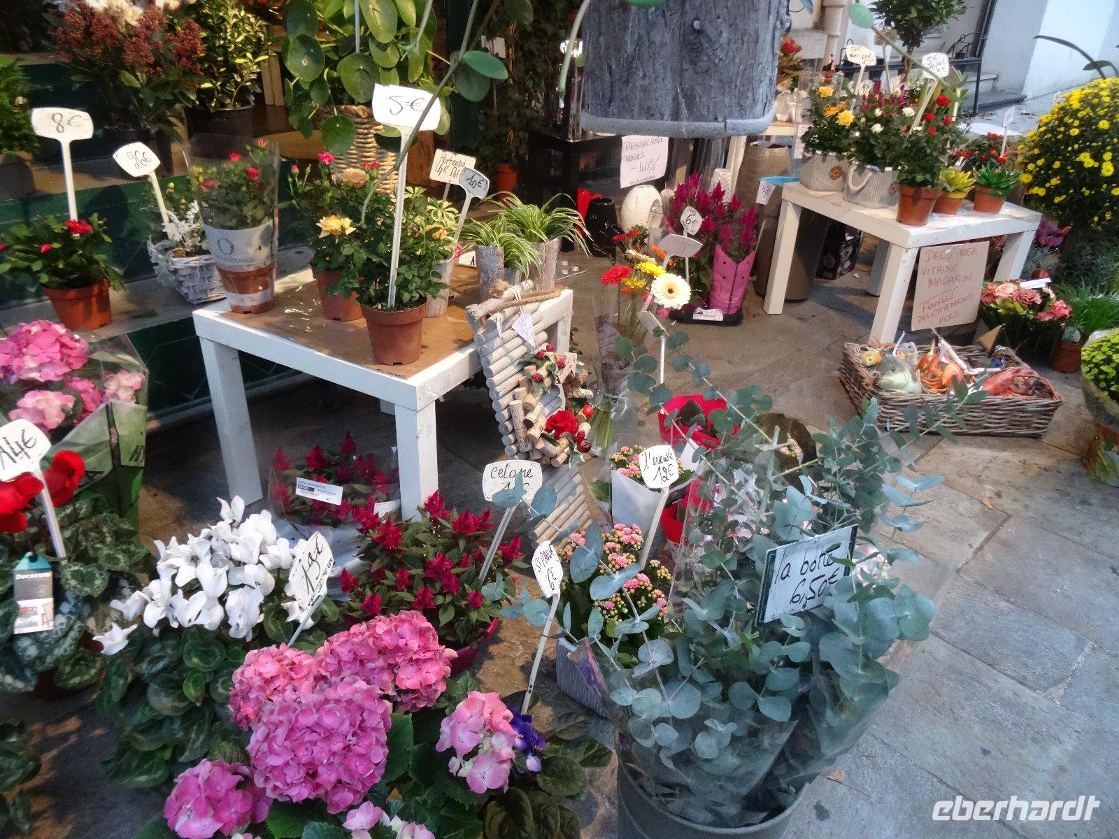 Blumenpracht auf der Rambla