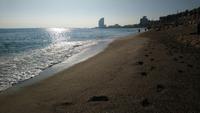 Strand von Barcelona