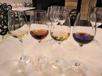 Silvesterreise Sevilla - Jerez de la Frontera, Sherryverkostung bei González Byass