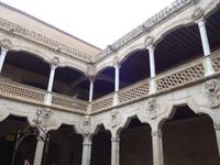 Stadtrundgang durch die Universität und Altstadt von Salamanca (11)