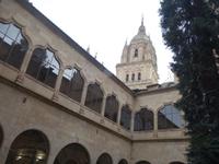 Stadtrundgang durch die Universität und Altstadt von Salamanca (32)