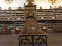 Stadtrundgang durch die Universität und Altstadt von Salamanca (37)