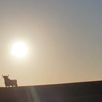 Autobahn in Spanien mit Stier Werbung