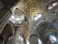 Zurück in Salamanca und Spaziergang durch die Altstadt (13)