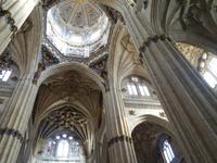 Zurück in Salamanca und Spaziergang durch die Altstadt (15)