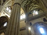 Zurück in Salamanca und Spaziergang durch die Altstadt (16)