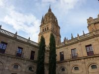 Zurück in Salamanca und Spaziergang durch die Altstadt (26)