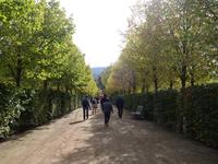 Besichtigung von La Granja Schloß (8)