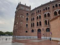 Stierkampfarena von Madrid (1)