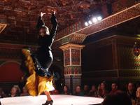 Flamenco Show in Madrid (2)