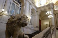 Besichtigung der Königlichen Schloß in Madrid (33)