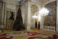 Besichtigung der Königlichen Schloß in Madrid (42)