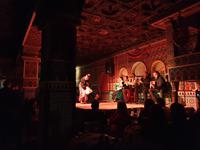 Flamenco Show in Madrid (1)
