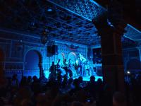 Flamenco Show in Madrid (3)