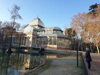 Spaziergang durch Retiro Park am 2.1 (27)