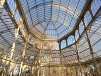 Spaziergang durch Retiro Park am 2.1 (34)