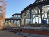 Spaziergang durch Retiro Park am 2.1 (41)