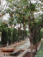 Im Garten der Könige