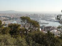 Blick vom Schloss auf Palma