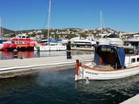 Hafen von Port Andratx