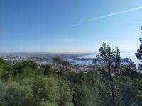 Ausblick vom Schloss Belvere auf Palma de Mallorca