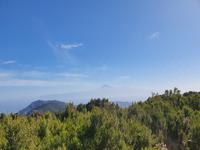 La Gomera -  Nationalpark Garajonay, Blick zum Teide