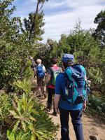 La Gomera -  Nationalpark Garajonay