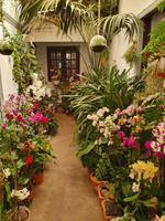 Efigenias Restaurant