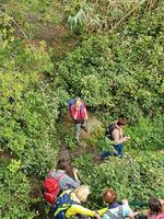 ab jetzt wird es grün