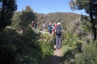 Wanderung zum Garajonay 